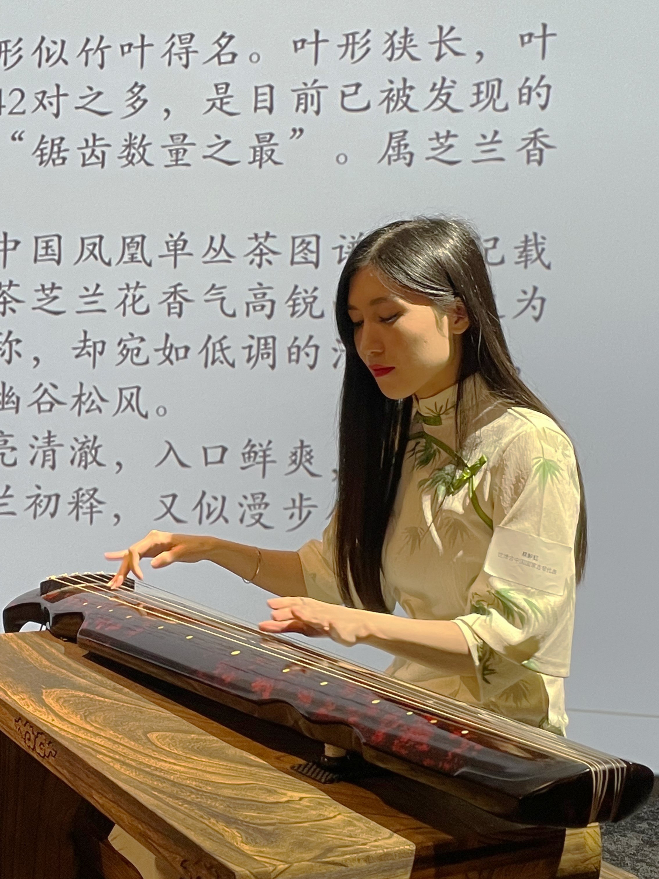世博會中國國家古琴代表 蔡醉虹女士